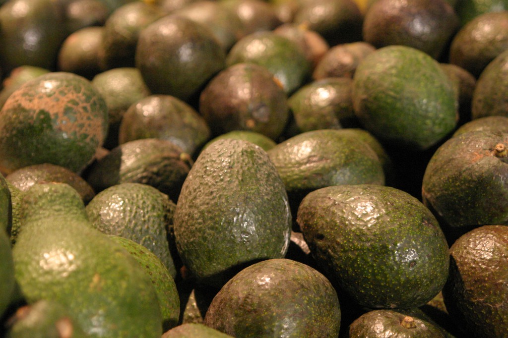 11-Avocados-1024x682.jpg