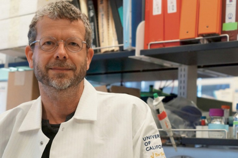 Thomas Weimbs: A Closer Look