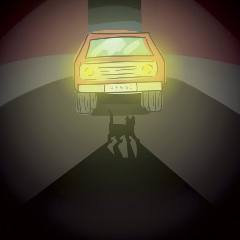 I.V. Pet Owners Lack Training