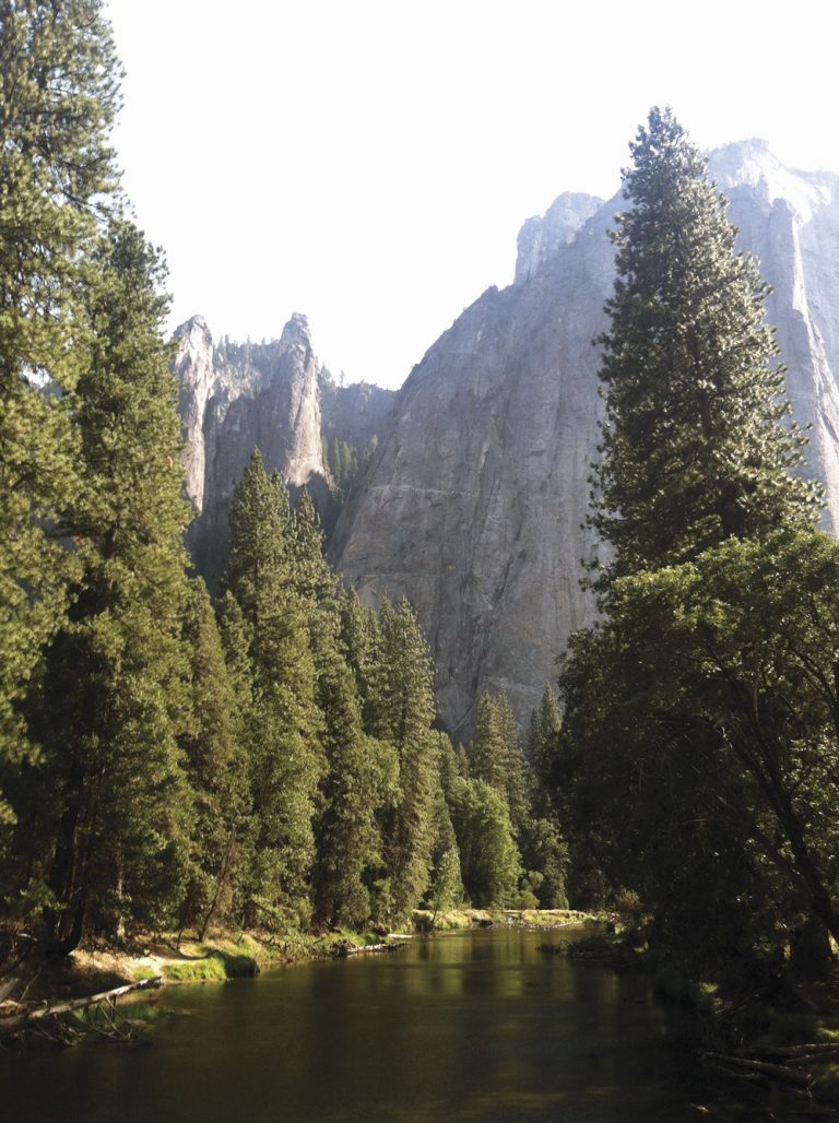 Letter to the Editor: Support the Environment, Vote Yes on Prop 68