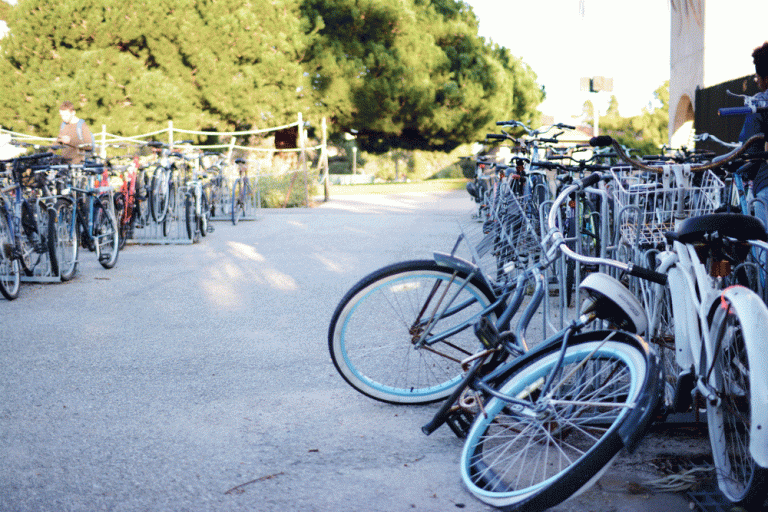 Bike Committee Undertakes Plethora of Parking Problems