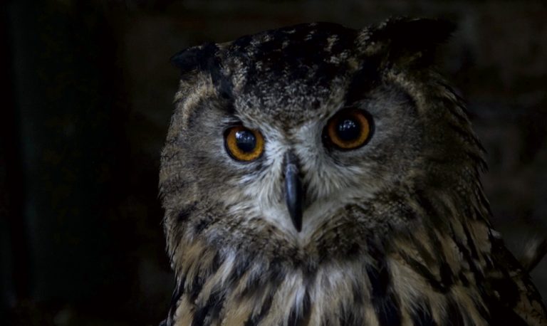 Photographer Spotlight: Jack Betz