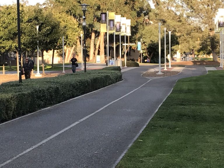 Why You Should Have Taken a Summer Session