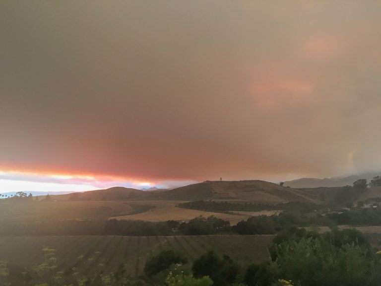 Rebuilding and Regeneration One Month After the Whittier Fire