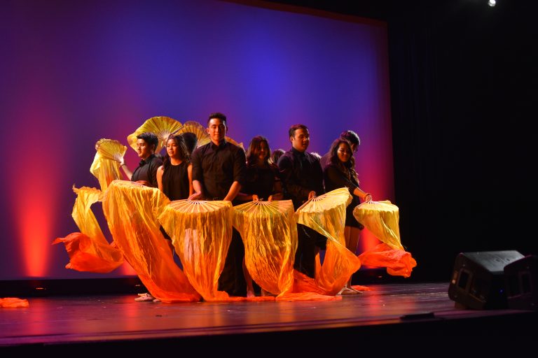 Vietnamese Cultural Night