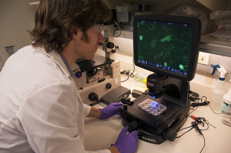 Students Showcase Creativity and Curiosity at Research Slam