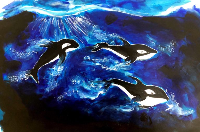 Orcas: Not Doing So Whale