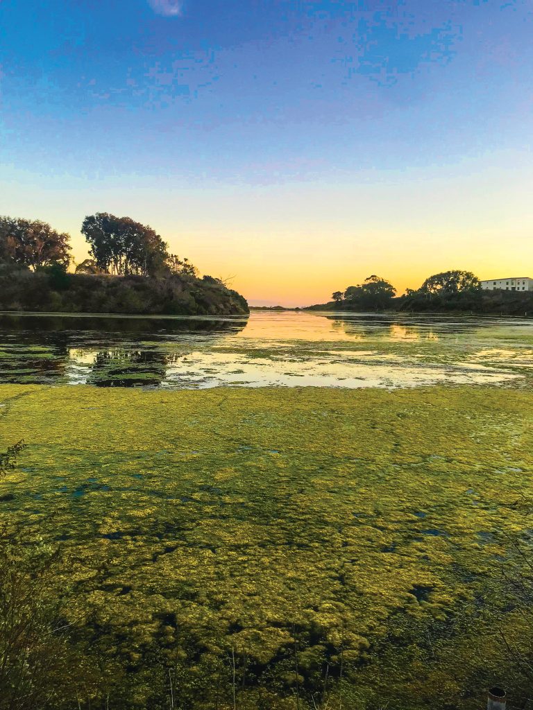 It’s Not Easy Bein’ Green — But We Have to Try