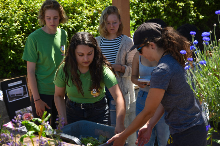 Approaching Zero Waste: How Composting Can Accelerate Green Progress