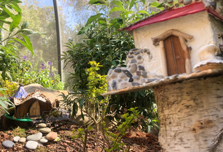 Fly into the Fairy Village at the SB Museum of Natural History