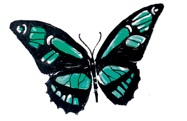 Sprague Butterfly Pavilion Presents “Butterflies Alive!” Exhibit