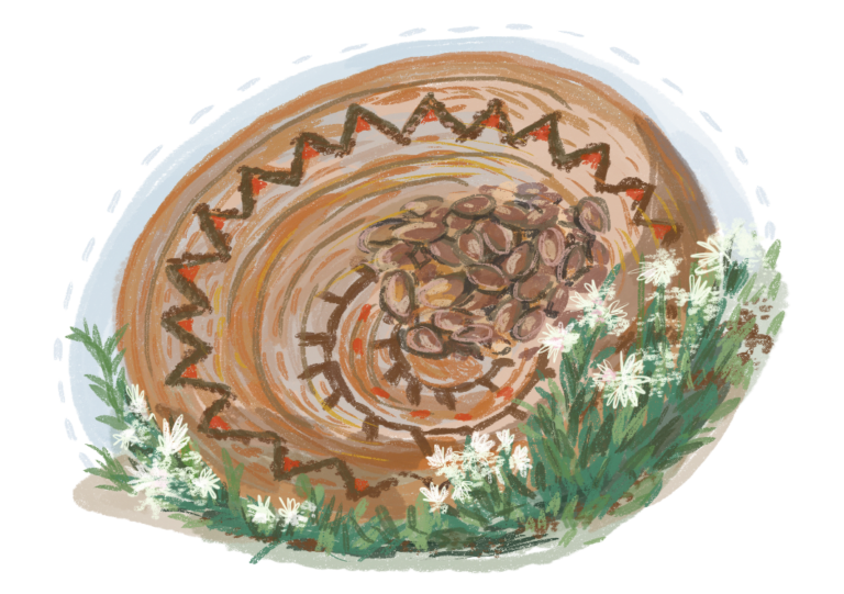 Santa Barbara’s Museum of Natural History Commemorates Chumash Culture