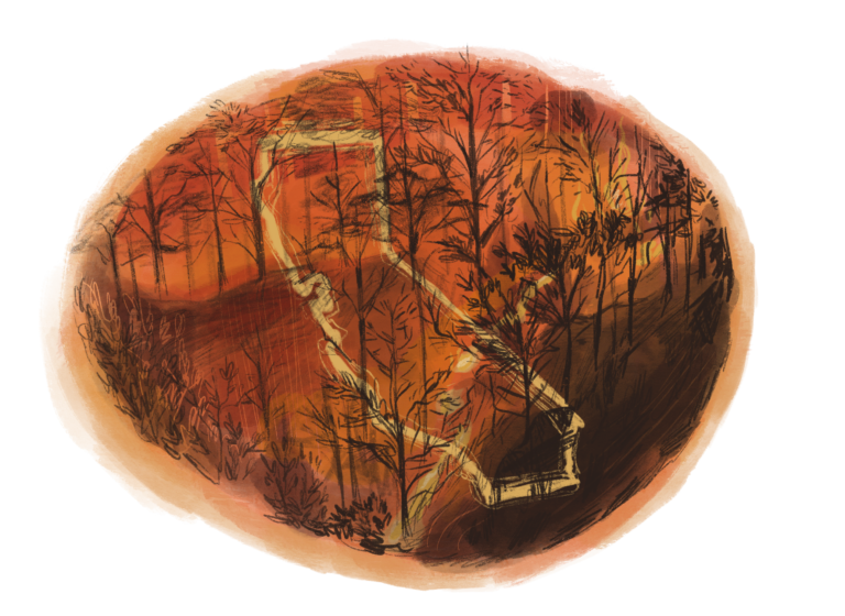 The Phenomenon of Destructive Wildfires in California