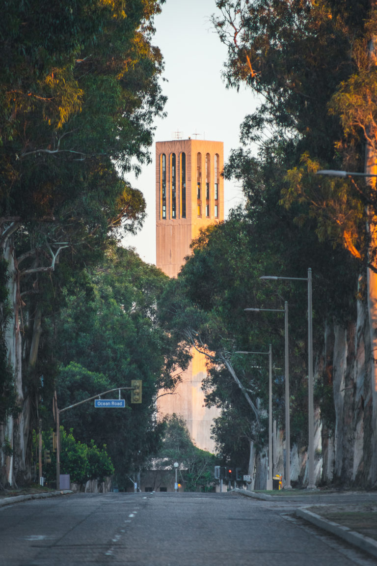 Summer Session Tuition Fees: The Implications Of Transitioning To Full Online Instruction