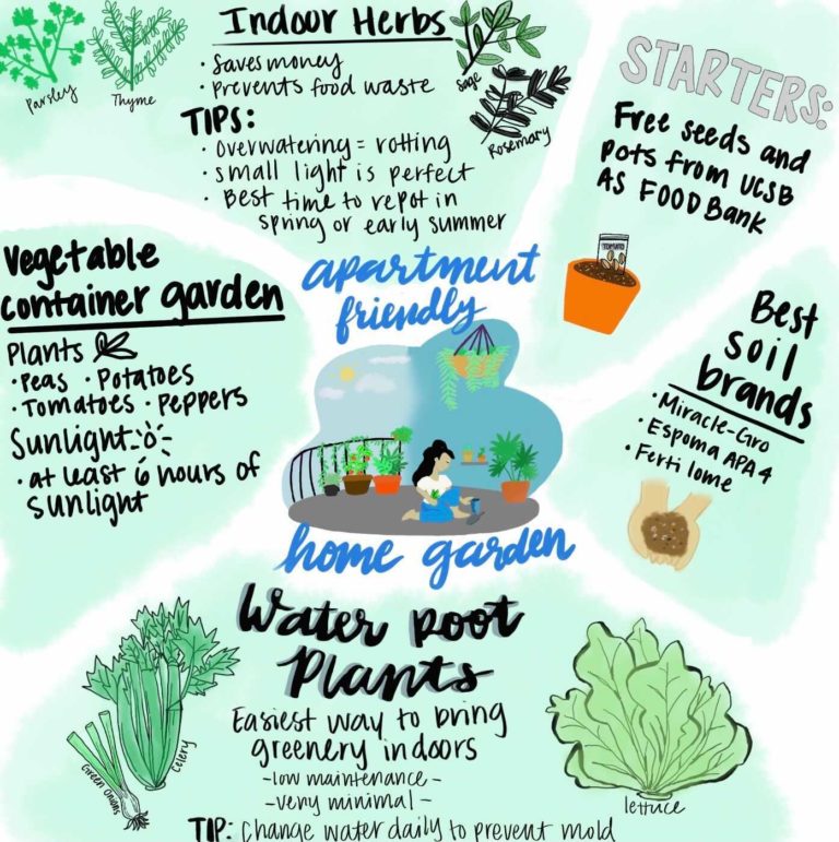 Apartment-Friendly Home Garden Tips