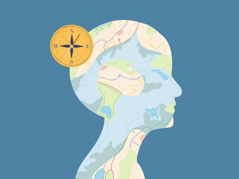 How Our Brains Adapt