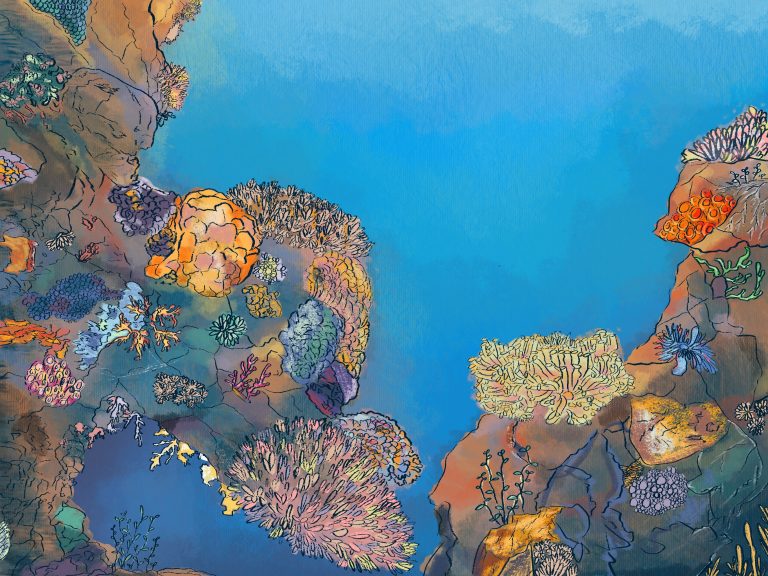 UCSB Researchers Look to Save Coral Reefs