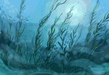 Saving the Sea Floor