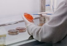 Julie Simpson Makes Research Accessible to Students