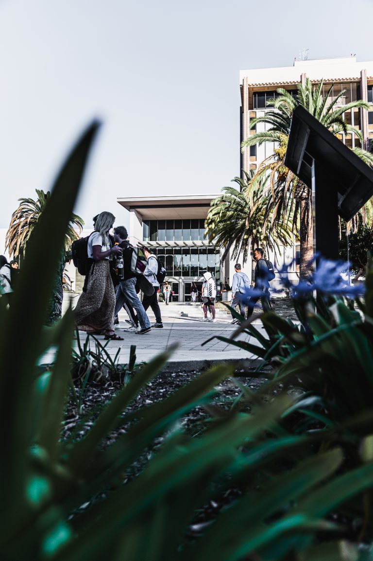 Navigating Unfamiliarity: Thoughts on Returning to Campus