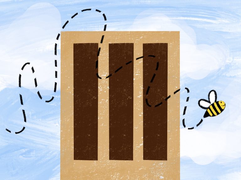 UCSB Is Certified Bee Campus USA Affiliate