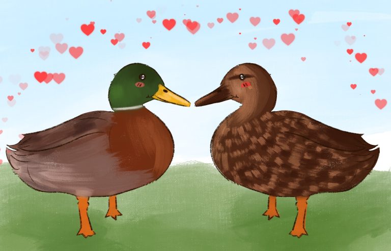 Love at First Flight