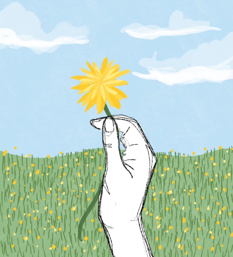 Nature at UCSB – Dunedelions