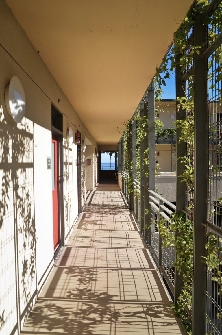 Bren Hall Might Be Your Saving Grace in the Finals Library Frustration 