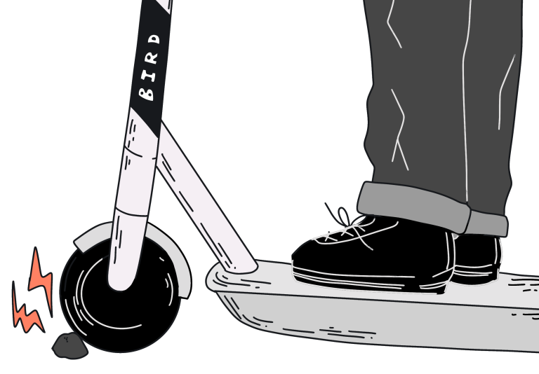 It’s Time to Clip Bird’s Wings