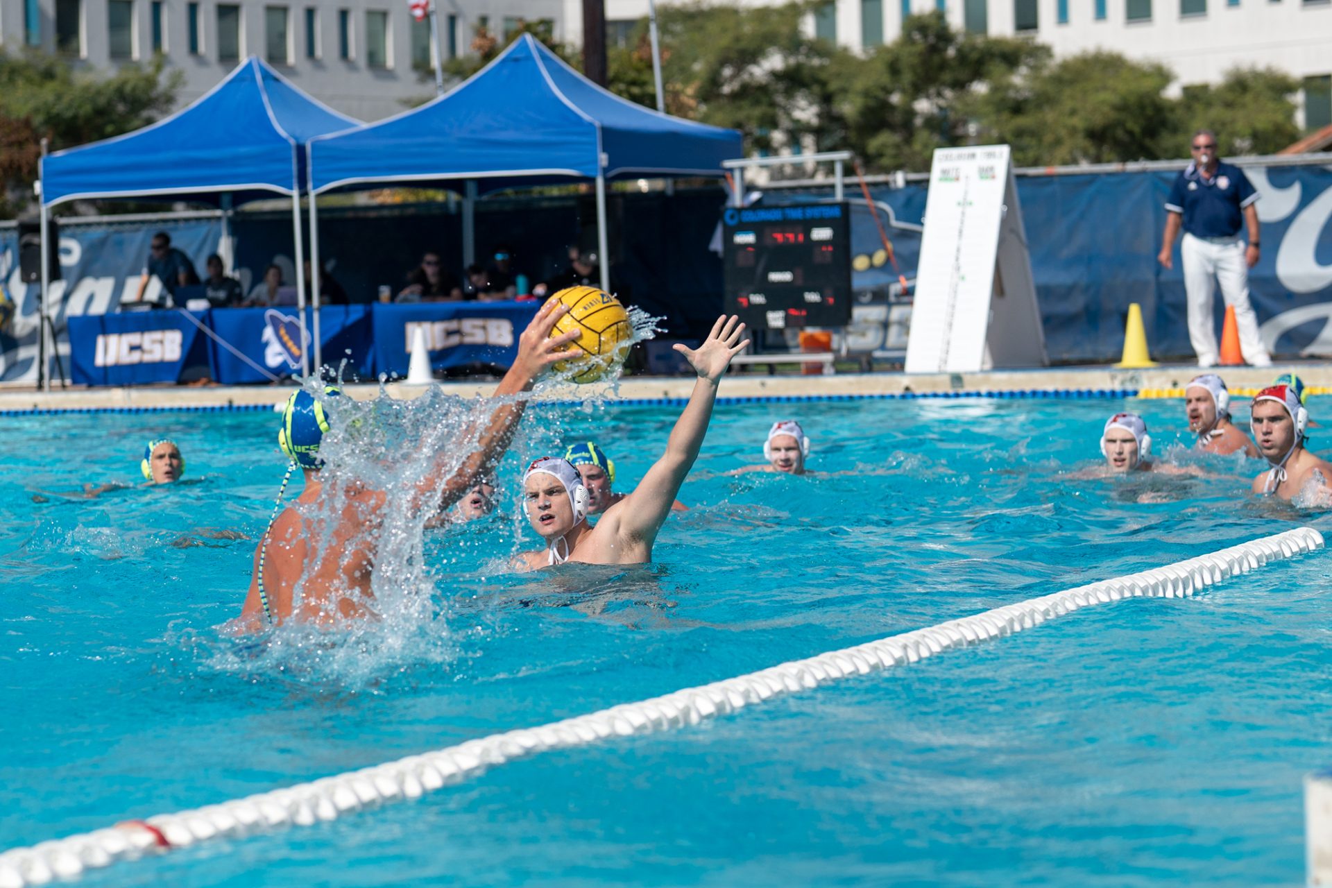 In Photos Princeton vs. UCSB Water Polo The Bottom Line UCSB