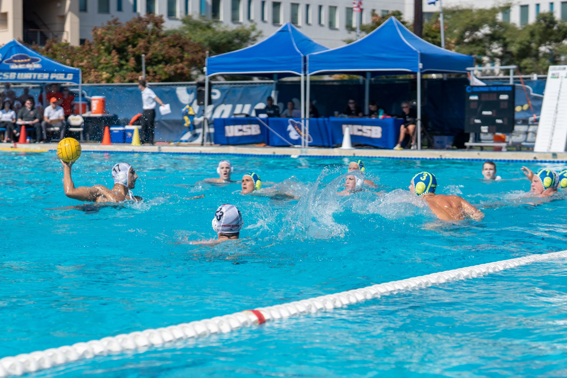 In Photos Princeton vs. UCSB Water Polo The Bottom Line UCSB