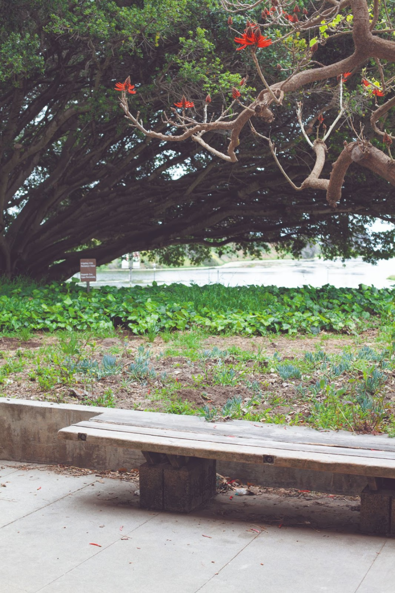 In Photos: Niche Campus Study Spots