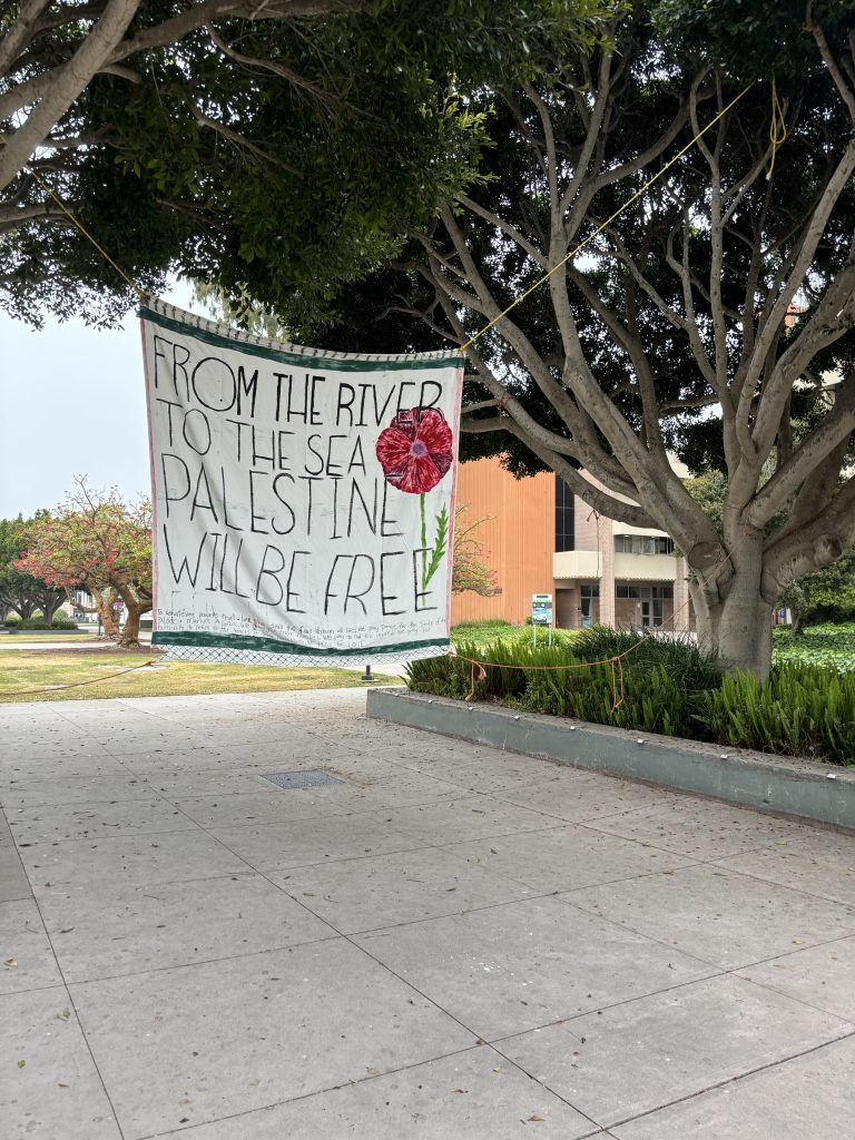 Jewish Voice For Peace and The Fight For a Free Palestine