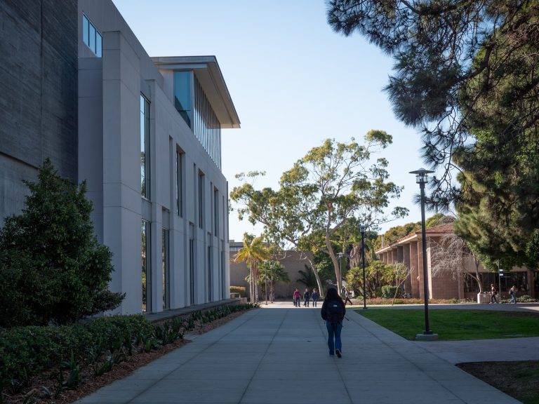 Should Attendance Be Mandatory?