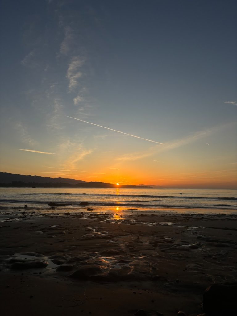 What Makes a Healthy Beach at UCSB?