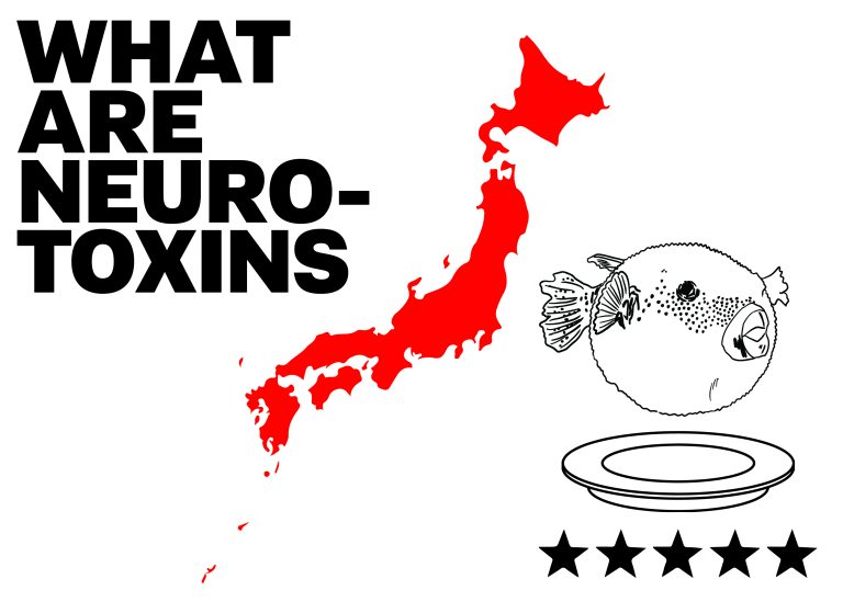 The Neurotoxins in Our Daily Diet